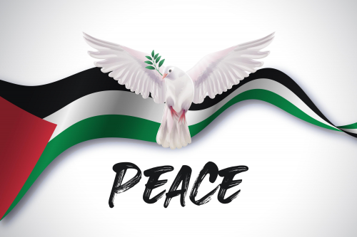 Honor to the Palestinian flag in Dar Raidate